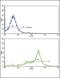 Caveolin 3 antibody, PA5-13443, Invitrogen Antibodies, Flow Cytometry image 