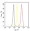 RAB3A, Member RAS Oncogene Family antibody, PA1-770, Invitrogen Antibodies, Flow Cytometry image 