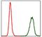 ATPase Na+/K+ Transporting Subunit Alpha 1 antibody, orb235028, Biorbyt, Flow Cytometry image 