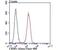 Exportin 1 antibody, NBP2-75448, Novus Biologicals, Flow Cytometry image 