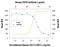 C-X-C Motif Chemokine Receptor 4 antibody, MAB172-100, R&D Systems, Neutralising image 