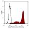 Granulocyte antibody, MA5-17973, Invitrogen Antibodies, Flow Cytometry image 