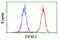 Eukaryotic Translation Initiation Factor 4E Family Member 2 antibody, LS-C172667, Lifespan Biosciences, Flow Cytometry image 