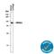 Cartilage Acidic Protein 1 antibody, AF5234, R&D Systems, Western Blot image 