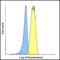 Lymphocyte Activating 3 antibody, RF16082, ProSci, Flow Cytometry image 