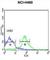 FKBP Prolyl Isomerase 1B antibody, abx033369, Abbexa, Western Blot image 