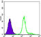 Hexokinase 1 antibody, abx015885, Abbexa, Enzyme Linked Immunosorbent Assay image 