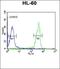 CASK Interacting Protein 2 antibody, orb314012, Biorbyt, Flow Cytometry image 