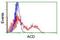 Adrenocortical dysplasia protein antibody, NBP2-01851, Novus Biologicals, Flow Cytometry image 