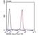 Succinate Dehydrogenase Complex Iron Sulfur Subunit B antibody, NBP2-75658, Novus Biologicals, Flow Cytometry image 