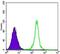 Sirtuin 1 antibody, MA5-15677, Invitrogen Antibodies, Flow Cytometry image 