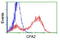 Carboxypeptidase A2 antibody, TA504645, Origene, Flow Cytometry image 