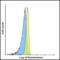 Lymphocyte Activating 3 antibody, RF16086, ProSci, Flow Cytometry image 