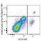 C-Type Lectin Domain Family 4 Member C antibody, 354225, BioLegend, Flow Cytometry image 