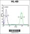 Ankyrin Repeat Domain 40 antibody, 55-807, ProSci, Flow Cytometry image 