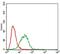 Caveolin 2 antibody, NBP2-52431, Novus Biologicals, Flow Cytometry image 