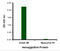 Avian Influenza Hemagglutinin 2 antibody, 3909, ProSci, Enzyme Linked Immunosorbent Assay image 