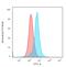 Calponin 1 antibody, GTX34451, GeneTex, Flow Cytometry image 