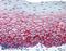 Syndecan 1 antibody, LS-B9360, Lifespan Biosciences, Immunohistochemistry frozen image 
