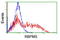 RNA-binding protein with multiple splicing antibody, LS-C175191, Lifespan Biosciences, Flow Cytometry image 