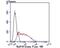 RB Binding Protein 4, Chromatin Remodeling Factor antibody, NBP2-75642, Novus Biologicals, Flow Cytometry image 