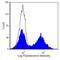 CD45RA antibody, MA5-17480, Invitrogen Antibodies, Flow Cytometry image 