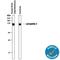 Adhesion G Protein-Coupled Receptor L3 antibody, MAB5916, R&D Systems, Western Blot image 