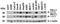 PD-L1 antibody, NBP1-76769, Novus Biologicals, Western Blot image 