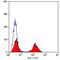 CD5 Molecule antibody, GTX74907, GeneTex, Flow Cytometry image 