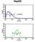 Actin Like 6B antibody, abx032478, Abbexa, Western Blot image 