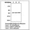 Checkpoint Kinase 2 antibody, LS-C62129, Lifespan Biosciences, Western Blot image 