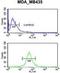 Gamma-Aminobutyric Acid Type A Receptor Delta Subunit antibody, GTX80429, GeneTex, Flow Cytometry image 