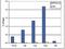 Histone Cluster 4 H4 antibody, NBP2-59240, Novus Biologicals, Chromatin Immunoprecipitation image 