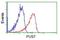 Pseudouridine Synthase 7 antibody, NBP2-03112, Novus Biologicals, Flow Cytometry image 