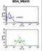 TCF3 Fusion Partner antibody, LS-C161822, Lifespan Biosciences, Flow Cytometry image 