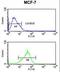 Pre-MRNA Processing Factor 19 antibody, LS-C162174, Lifespan Biosciences, Flow Cytometry image 