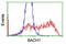 BTB Domain And CNC Homolog 1 antibody, LS-C173634, Lifespan Biosciences, Flow Cytometry image 