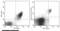 CD40 Molecule antibody, 10774-MM03-P, Sino Biological, Flow Cytometry image 