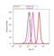 Aryl Hydrocarbon Receptor Nuclear Translocator Like antibody, PA1-523, Invitrogen Antibodies, Flow Cytometry image 