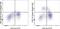 Colony Stimulating Factor 1 Receptor antibody, 62-1159-41, Invitrogen Antibodies, Flow Cytometry image 