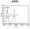Biglycan antibody, LS-C156806, Lifespan Biosciences, Flow Cytometry image 