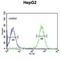 Tescalcin antibody, abx032422, Abbexa, Western Blot image 