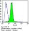 Cyclin E1 antibody, MA5-14336, Invitrogen Antibodies, Flow Cytometry image 