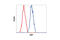 Stress Induced Phosphoprotein 1 antibody, 5670S, Cell Signaling Technology, Flow Cytometry image 