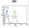 Rhotekin 2 antibody, LS-C162801, Lifespan Biosciences, Flow Cytometry image 