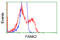 Pantothenate Kinase 2 antibody, LS-C115319, Lifespan Biosciences, Flow Cytometry image 