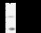 AFG3 Like Matrix AAA Peptidase Subunit 2 antibody, GTX02183, GeneTex, Immunoprecipitation image 