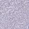 Mucin 13, Cell Surface Associated antibody, HPA045163, Atlas Antibodies, Immunohistochemistry paraffin image 