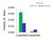 Histone Cluster 2 H2B Family Member F antibody, PA5-44511, Invitrogen Antibodies, Chromatin Immunoprecipitation image 