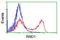 Rho-related GTP-binding protein Rho6 antibody, TA501769, Origene, Flow Cytometry image 